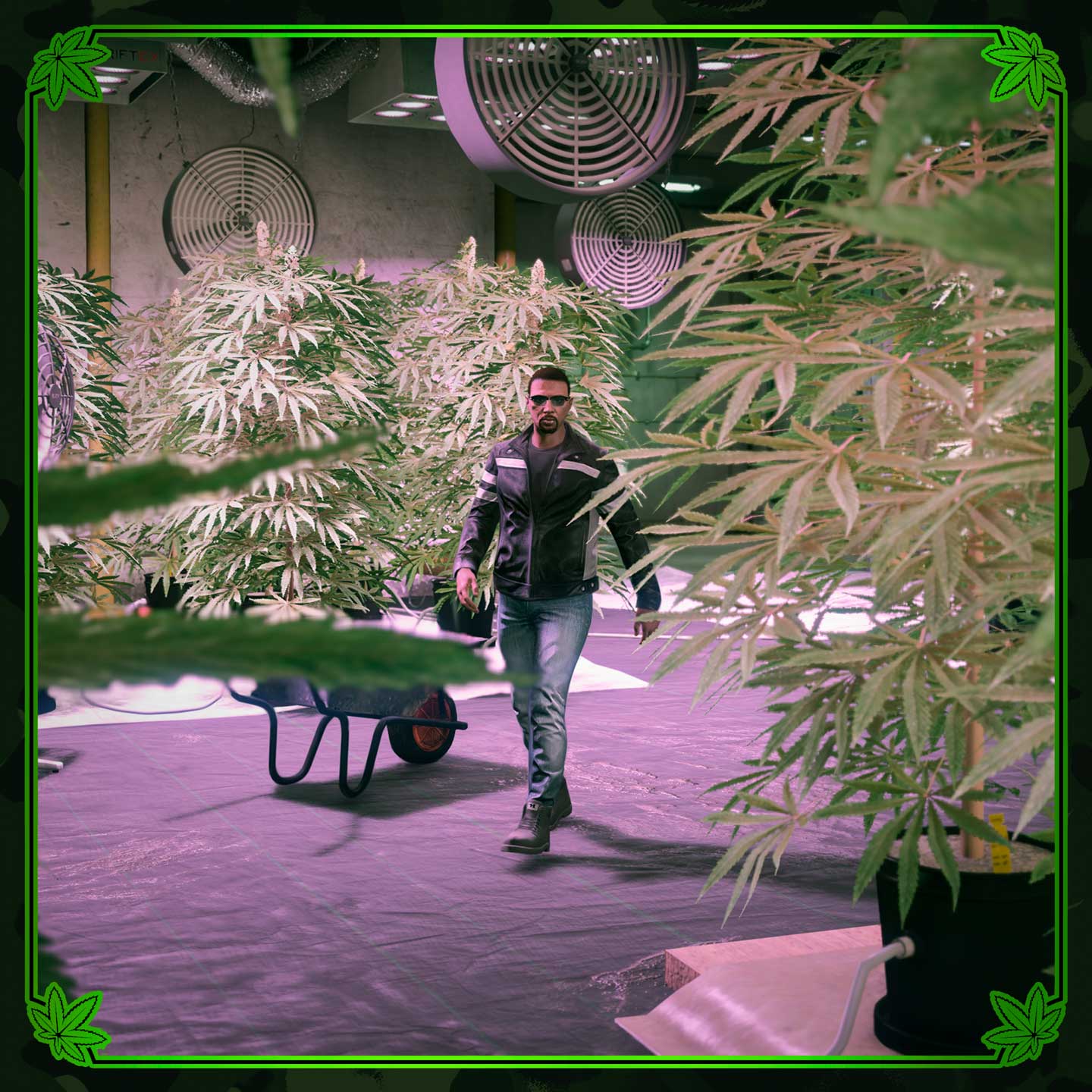 Biker Business Screenshot of a Biker Business property in GTA Online.