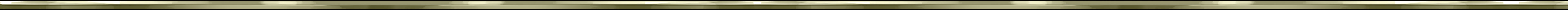 criminal_enterprise_divider_rsg
