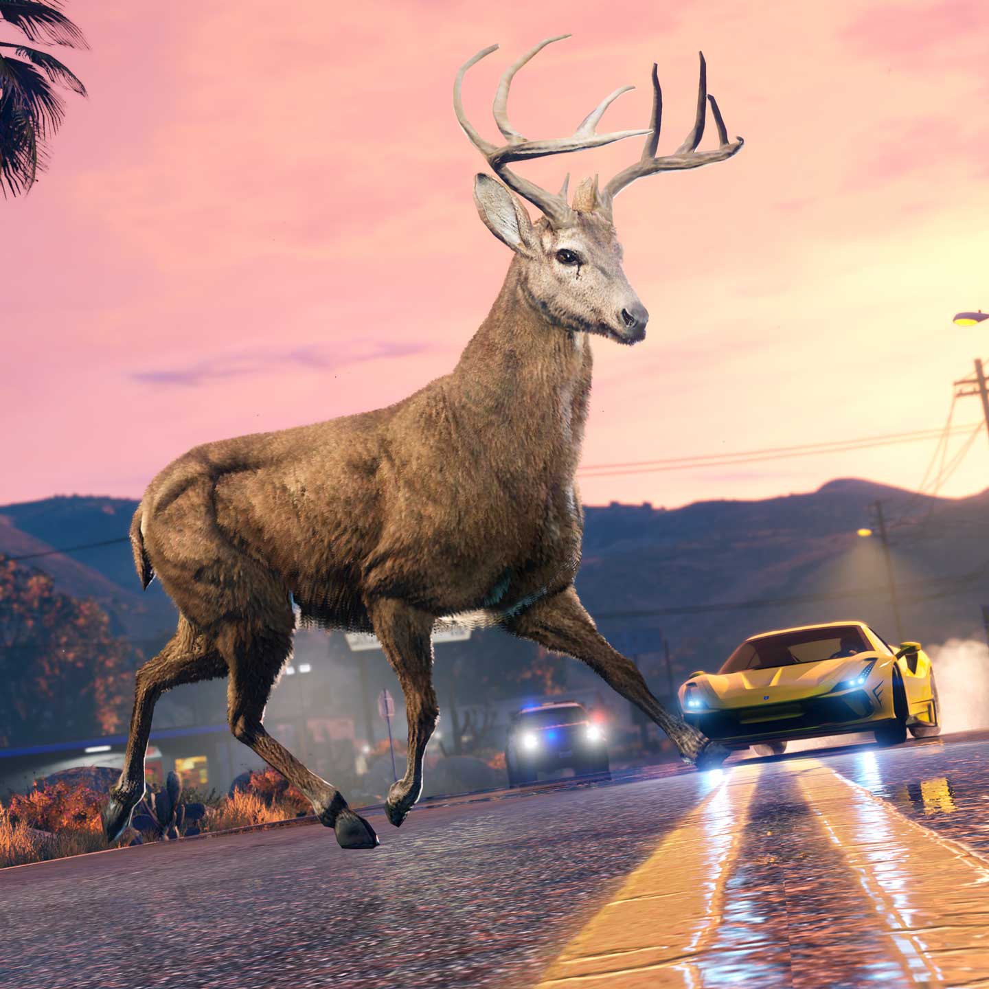 Wild Animals Screenshot of wild animals in GTA Online.