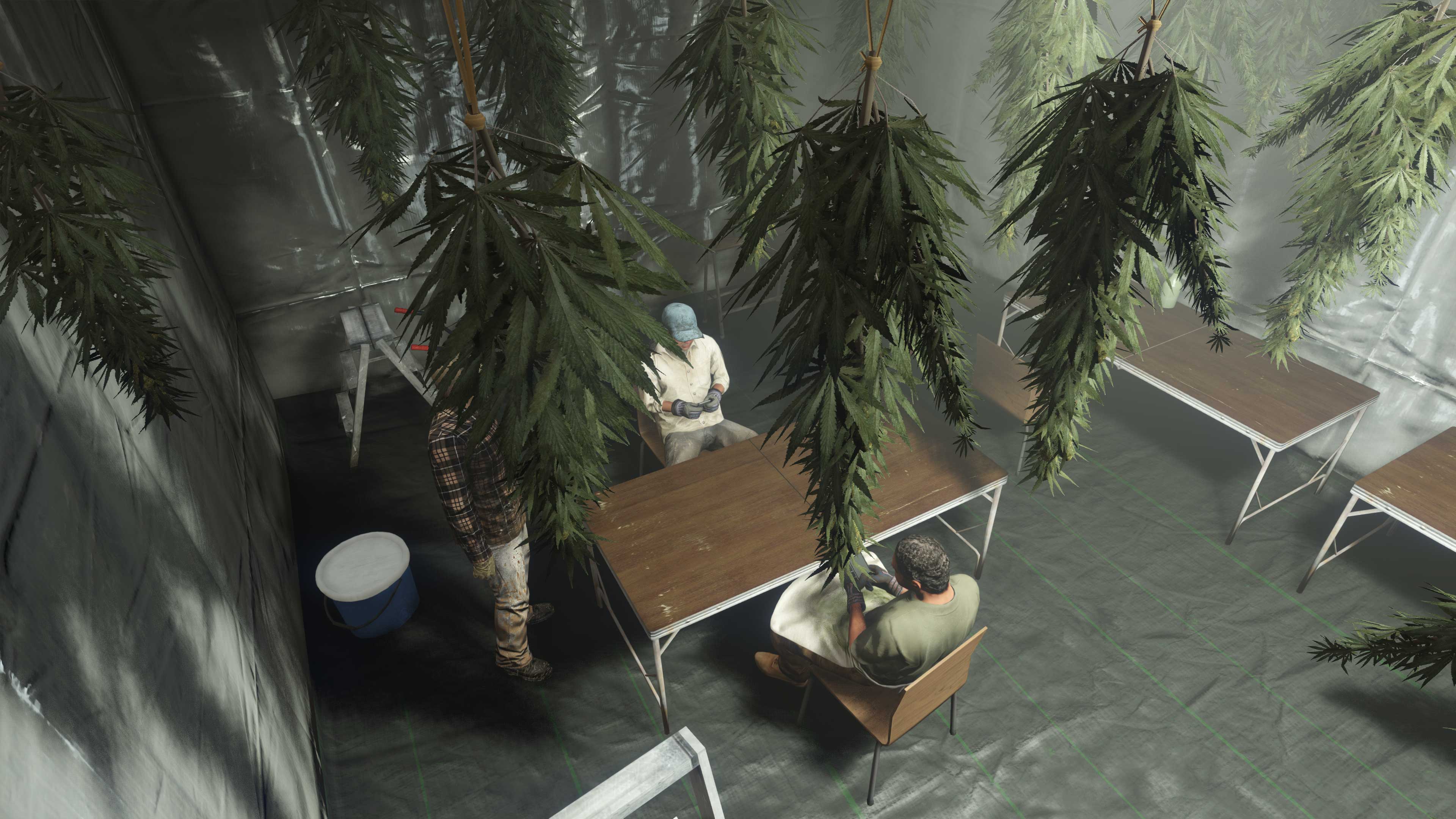 GTA+