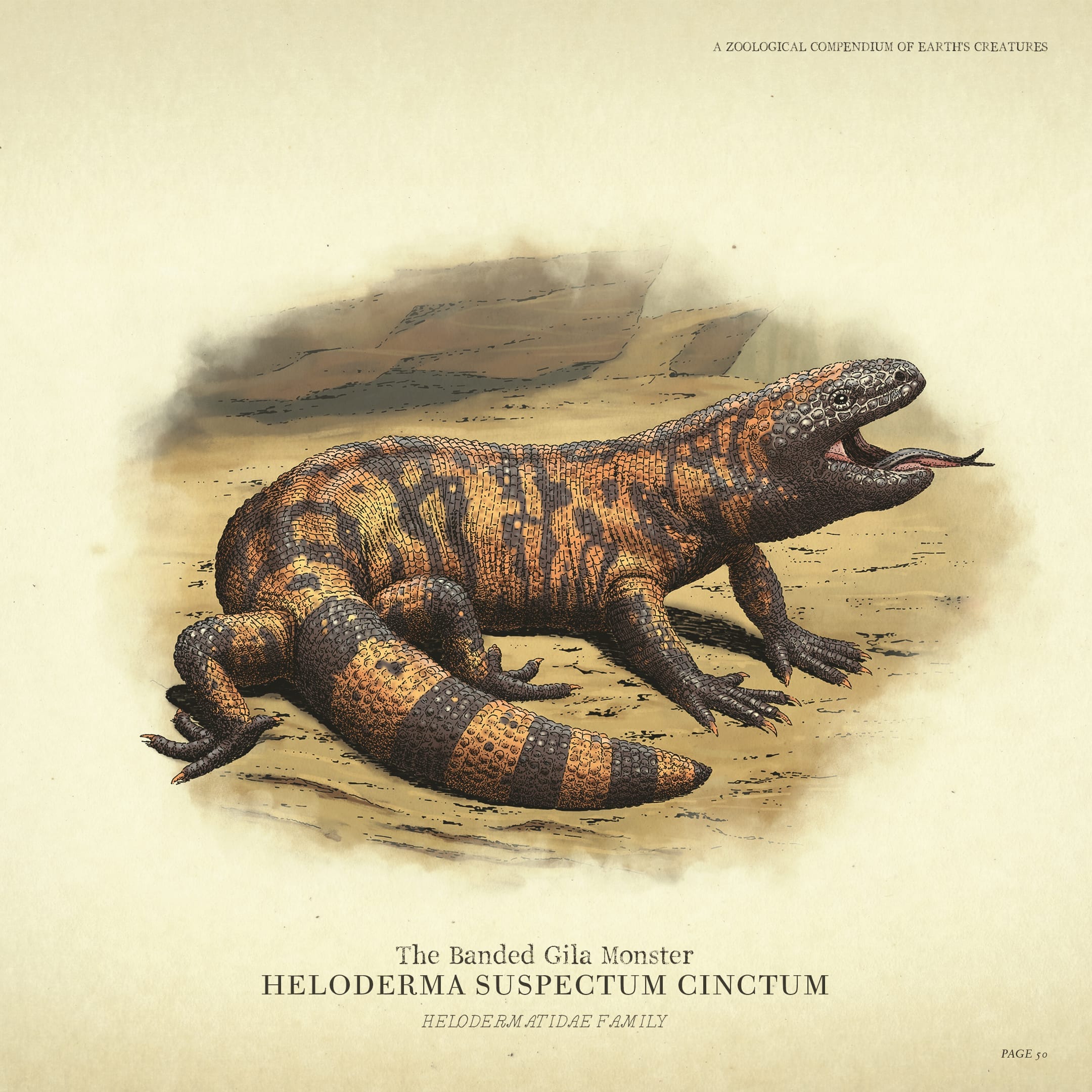 Poster for the Banded Gila Monster.