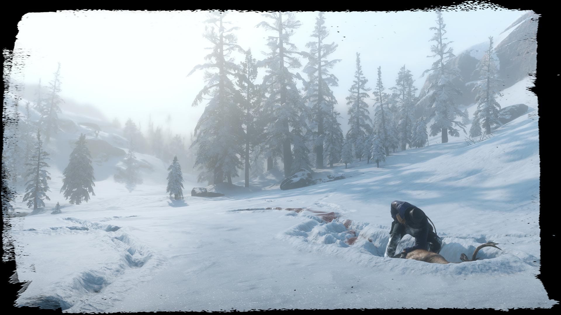Screenshot captured in Red Dead Online for the Wildlife Guide.