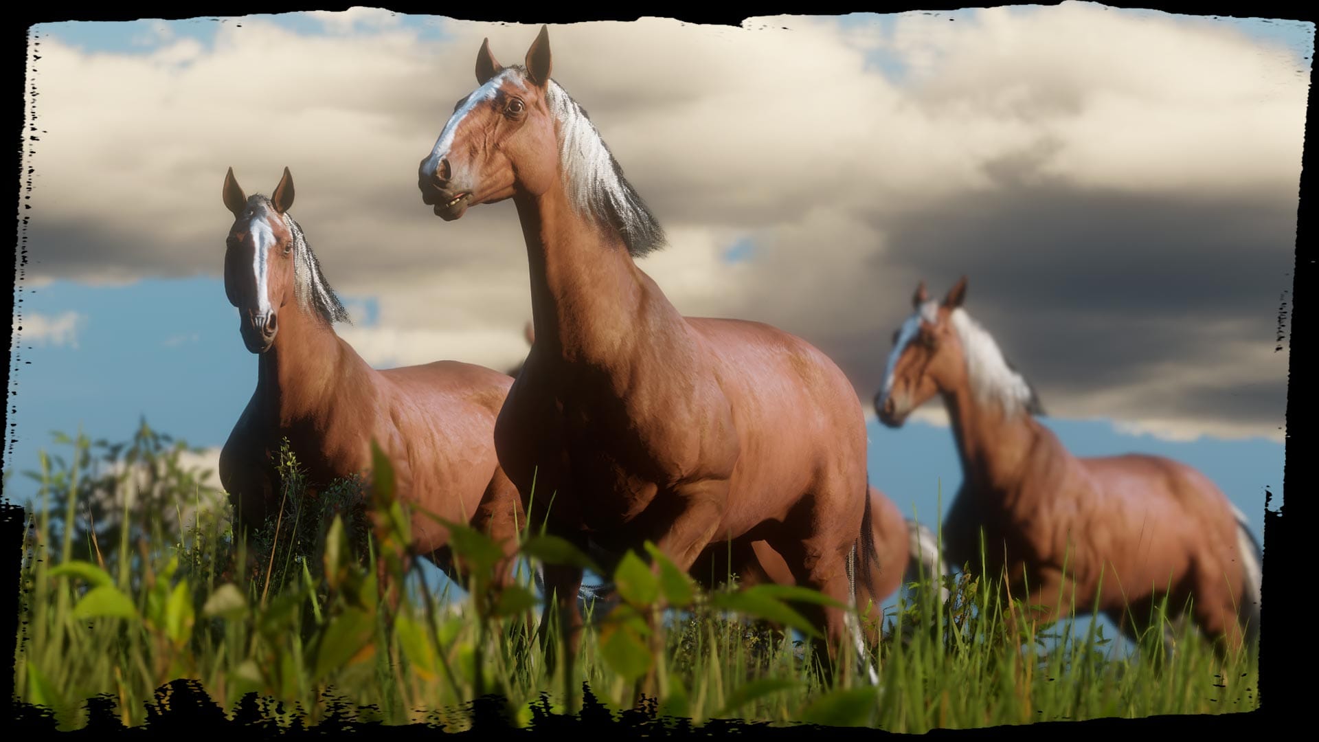 Screenshot captured in Red Dead Online for the Wildlife Guide.