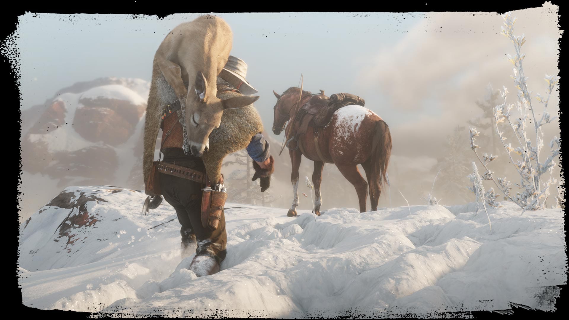 Screenshot captured in Red Dead Online for the Wildlife Guide.